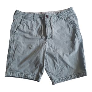 Hollister Classit Fit Pale Green Mens Shorts 32